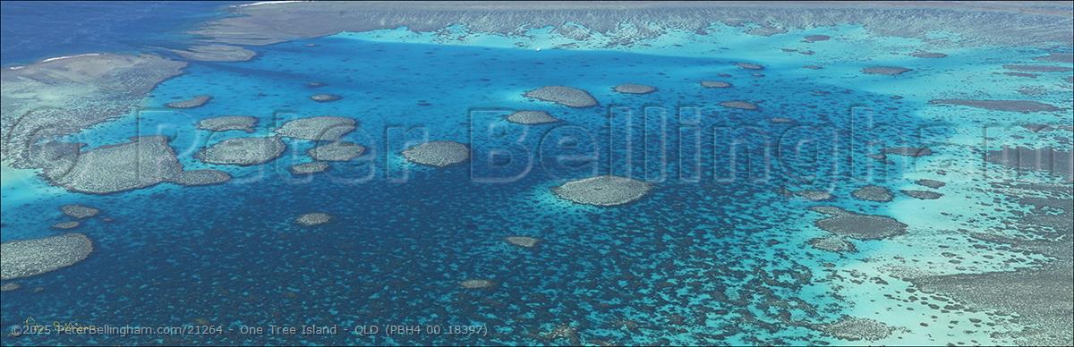 Peter Bellingham Photography One Tree Island - QLD (PBH4 00 18397)